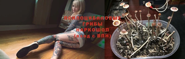 соль ск Алексин