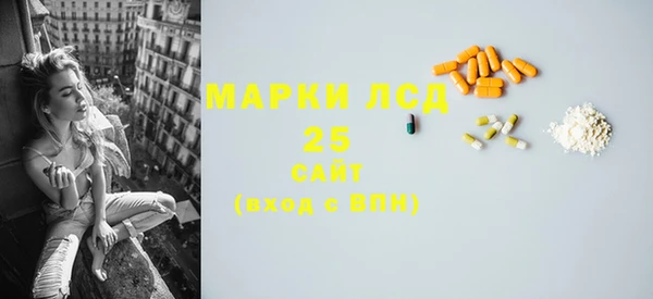 индика Дмитровск