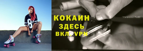 a pvp Алзамай