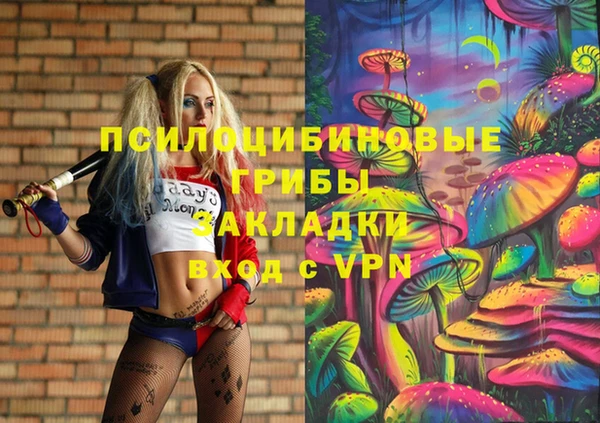 соль ск Алексин