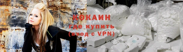соль ск Алексин